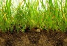 Homesteadsub-soil-drainage-6.jpg; ?>